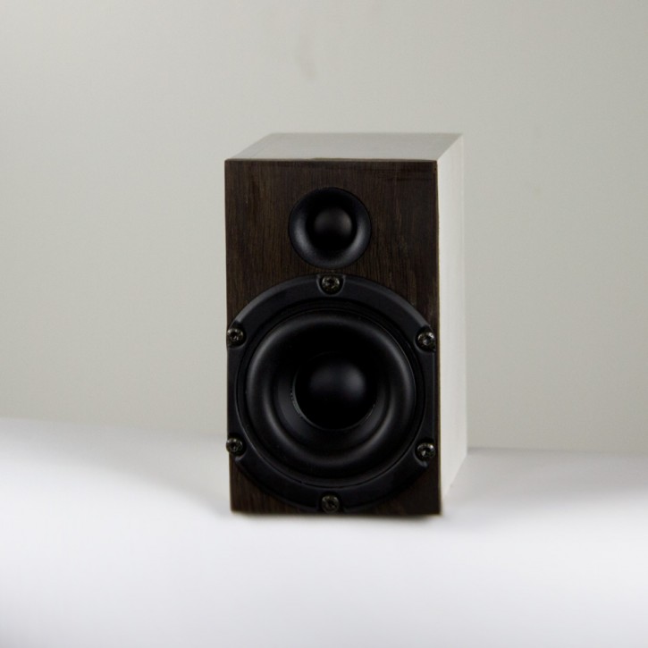 Microspeaker µ Surround